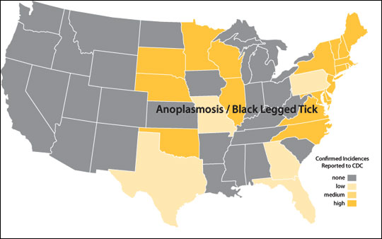Distribution map of anaplasmosis