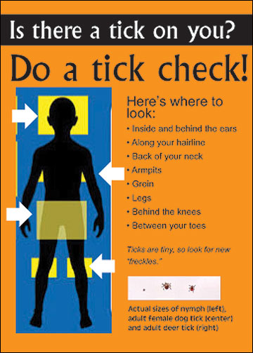 To prevent possible infection with a tick-borne illness, check for ticks within 24 hours