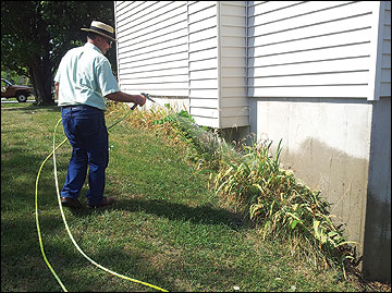 Spraying yard with insecticide