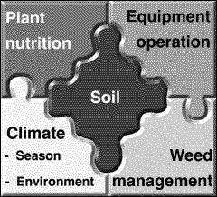 By not tilling the soil, you increase the management intensity of the remaining elements of your crop production system