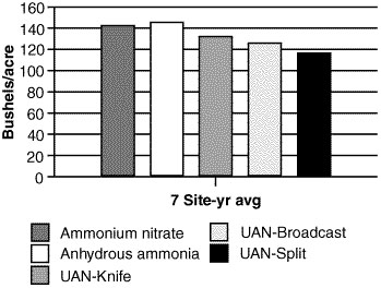 How different sources of nitrogen affect corn yield