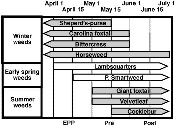 Comparison of growing seasons for weeds