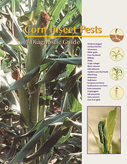 Corn Insect Pests cover
