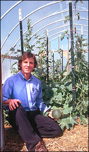 Lewis Jett in a high tunnel greenhouse