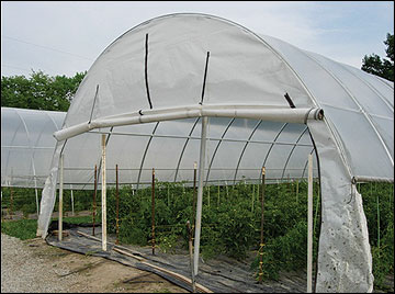 High tunnels are plastic-covered, solar greenhouses