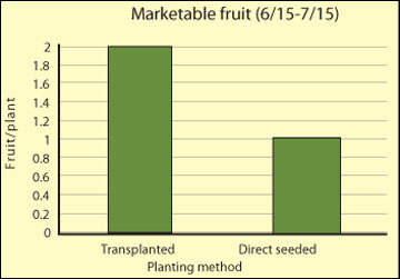 Transplants increase early yield