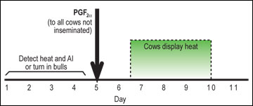 Using PGF2a to minimize costs