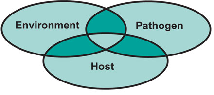 venn diagram showing relationship between the host, pathogens and the environment