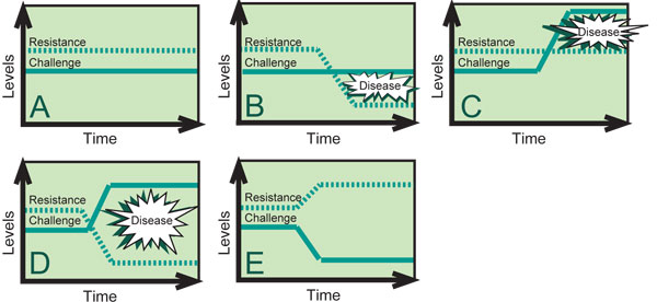 illustration depicting five timelines with resistance and challenge and the result