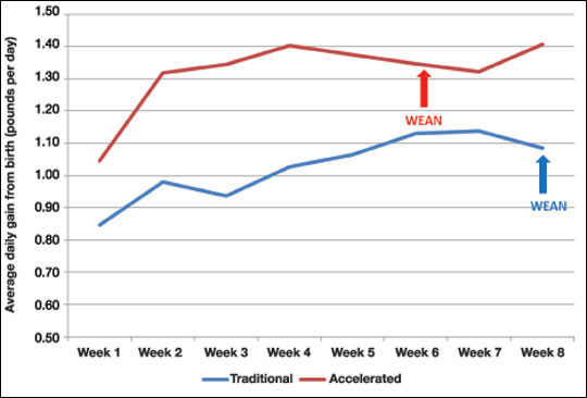 Yield distribution