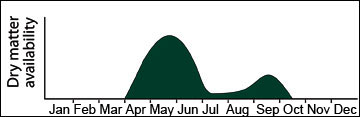 Yield distribution