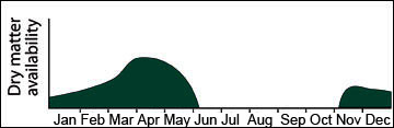 Yield distribution