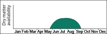 Yield distribution