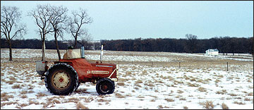 Frost seeding