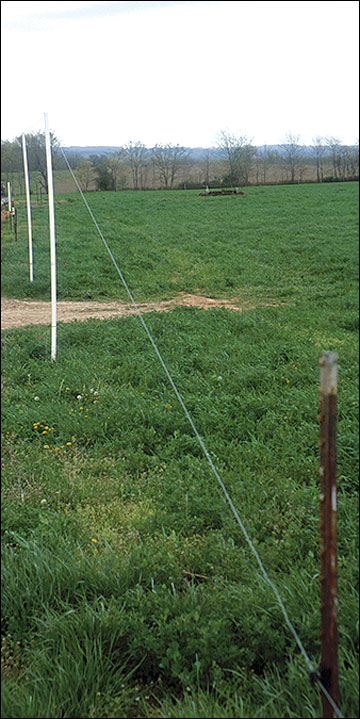 Single wire hotsell electric fence