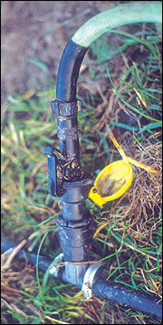 Quick-attach valve for a portable water system.