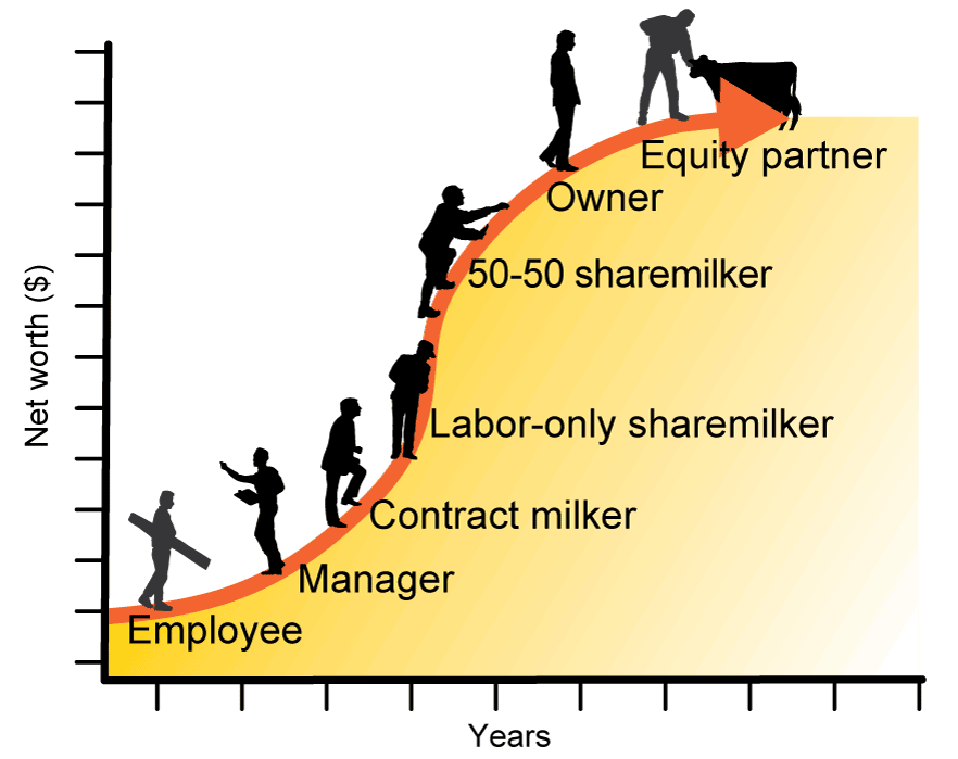 Steps along the dairy career path include employee, manager, contract milker, labor-only sharemilker, 50-50 sharemilking, owner and equity partner.  As individuals move along the path, they often increase their net worth over time.
