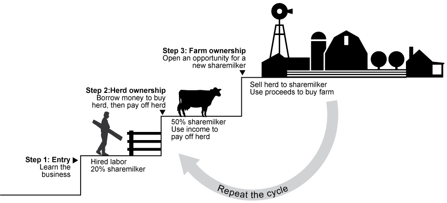 Sharemilking to ownership involves three steps. Step 1 is an labor-only sharemilker as an entry point to learn the business. Step 2 is a 50 percent sharemilker and begins when an individual can borrow money to buy a herd and pay off over time. Step 3 is farm ownership, which can be gained by selling the herd to another sharemilker and using the proceeds to buy a farm.