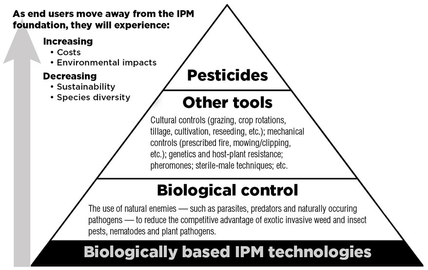 As end users move away from the IPM experience, they will experience increasing costs and environmental impacts, and decreasing sustainability and species diversity. The IPM foundation is biologically based IPM technologies. Biological control is the use of natural enemies — such as parasites, predators and naturally occuring pathogens — to reduce the competitive advantage of exotic invasive weed and insect pests, nematodes and plant pathogens. The next level up involves using other tools: cultural controls (grazing, crop rotations, tillage cultivation, reseeding, etc.); mechanical controls (prescribed fire, moving/clipping, etc); genetics and host-plant resistance; pheromones; sterile-male techniques; etc. Finally, the least preferable technique is the use of pesticides.