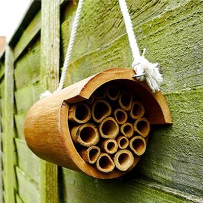 A mason bee hotel made of numerous wooden tubes inside fitted snuggly inside a large wooden tube.