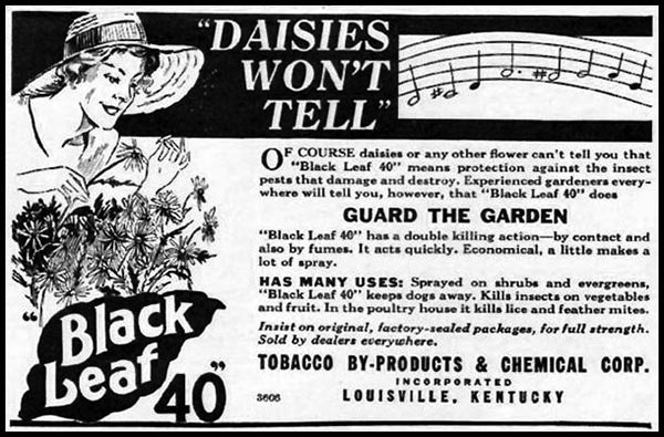 An old newspaper advertisement for Black Leaf 40.