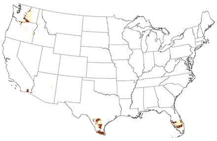 U.S. map showing little use of imidacloprid in 1994.