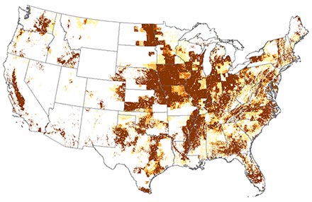 U.S. map showing that imidacloprid use was much greater in 2004.