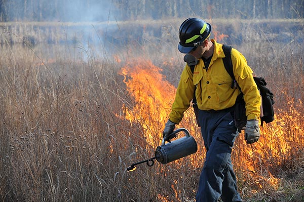 A man wearing some protective gear while walking through a field doing a controlled burn