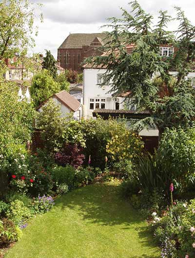 Plants growing on each side of the backyard of a house at varying levels.