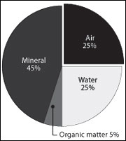 Volumetric content of four principal soil components