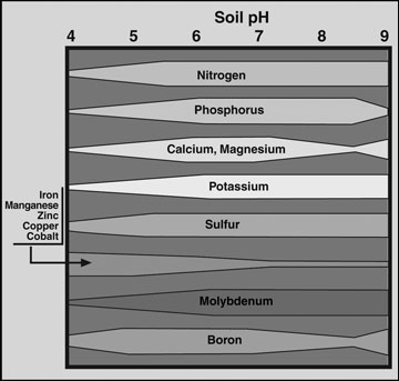 Soil pH affects nutrient availability to plants