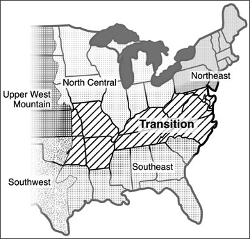 Transition Zone