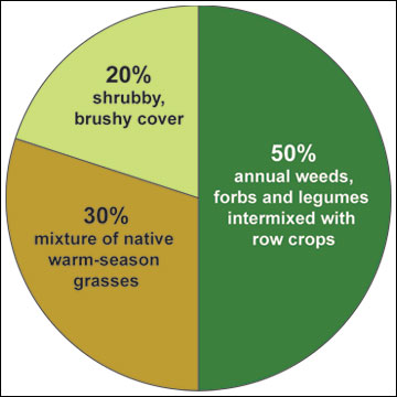 The ideal bobwhite quail habitat