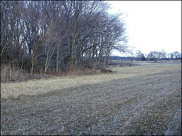 Locations for establishing a herbaceous field border are identified next to woodland