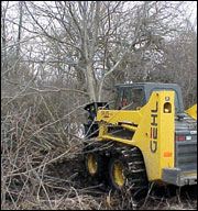 A tree shear was used to open the stand