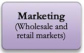 Marketing (wholesale and retail markets)
