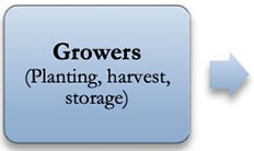 Growers (planting, harvest, storage)