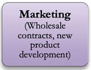 Marketing (wholesale contracts, new product development)
