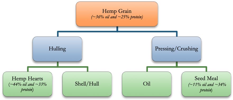 Hemp grain (about 36 percent oil and 25 percent protein) to hulling and to pressing/crushing; from hulling to hemp hearts (about 44 percent oil and 33 percent protein) and shell/hull; and from pressing/crushing to oil and to seed meal (about 11 percent oil and 34 percent protein).