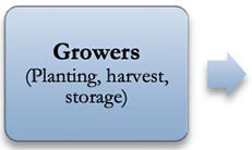 Growers (planting, harvest, storage)