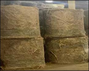 Four large bales of fiber biomass.