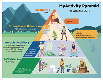 pyramid of illustrations of people doing exercise