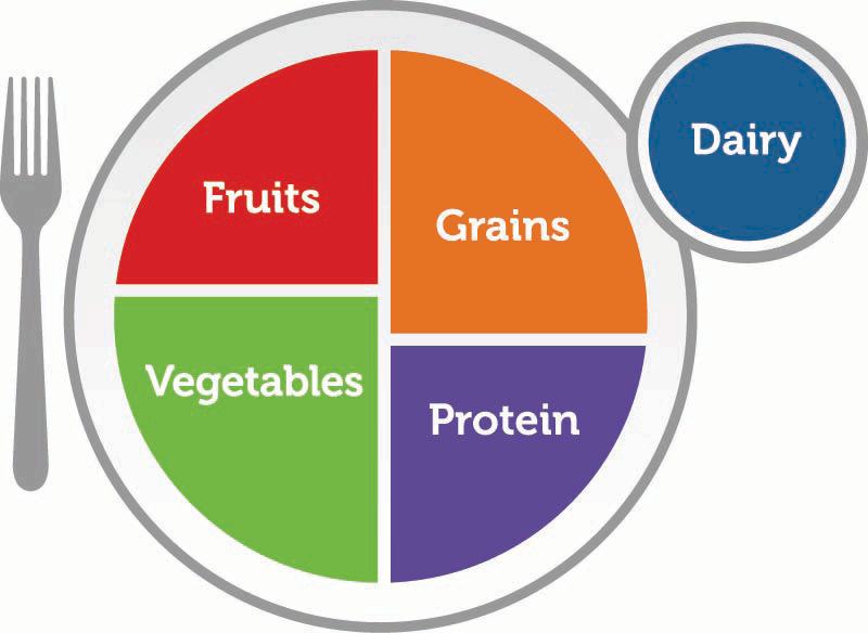Healthy plate: fruits, vegetables, grains, protein and dairy.