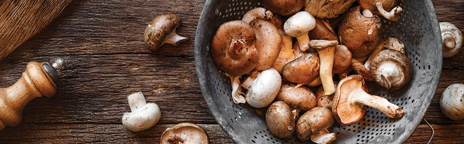 A flyer with tips and recipes highlighting produce grown in Missouri