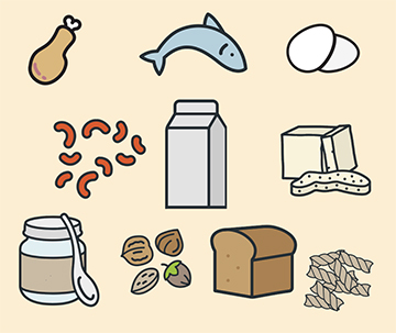 illustrations of alterative protein foods