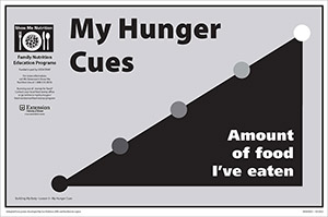 Hunger Cues poster