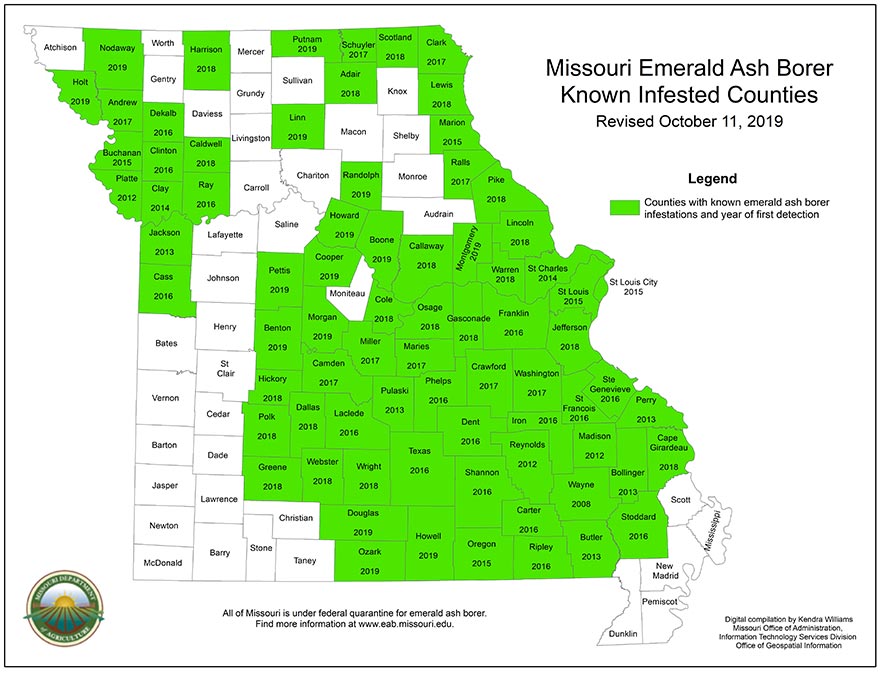 Map of Missouri Emerald Ash Borer Know Infested Counties, October 11, 2019