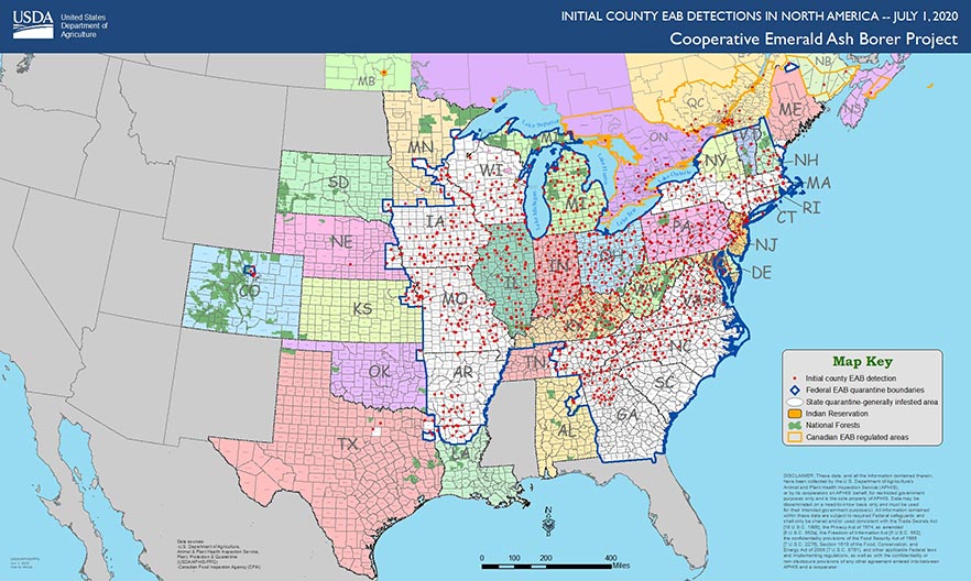 Map of Initial County Emerald Ash Borer Detections in North America, July 1, 2020