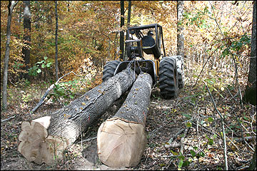 Tractor dragging two large logs