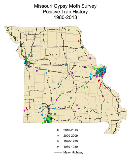 Gypsy moth survey